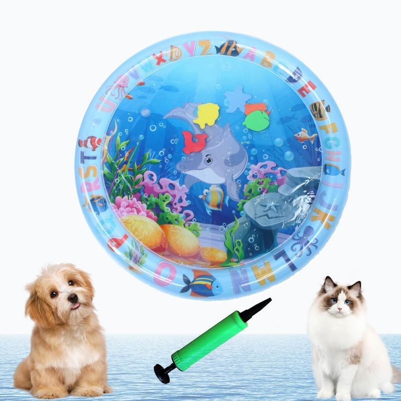 Divertissement garanti pour chat et chien