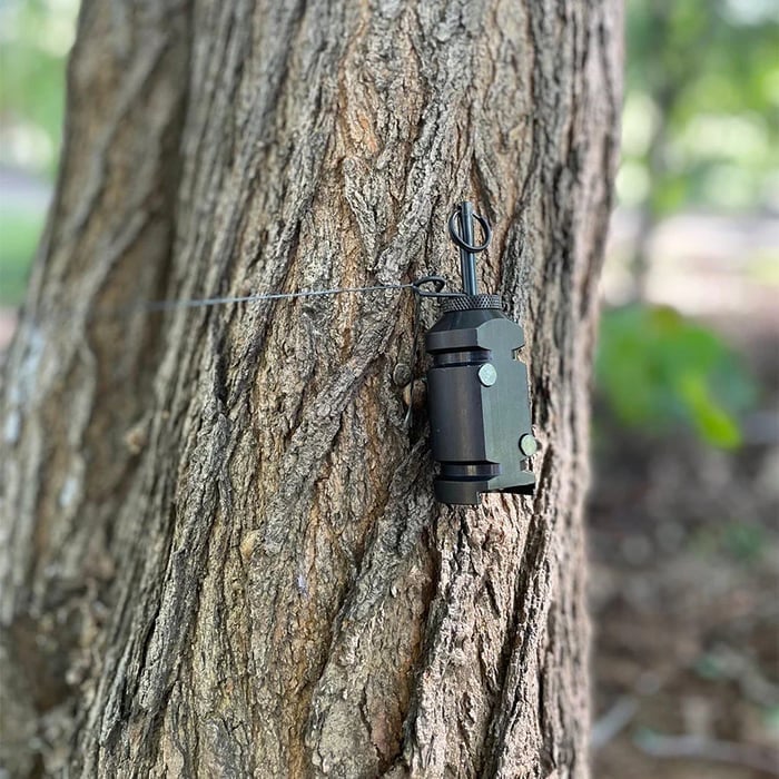 Deterrent perimeter trigger for outdoor use