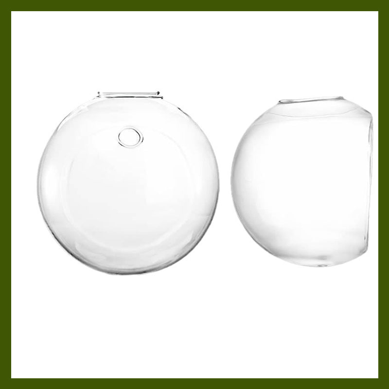 Korosta kasvejasi seinilläsi ilman poraamista