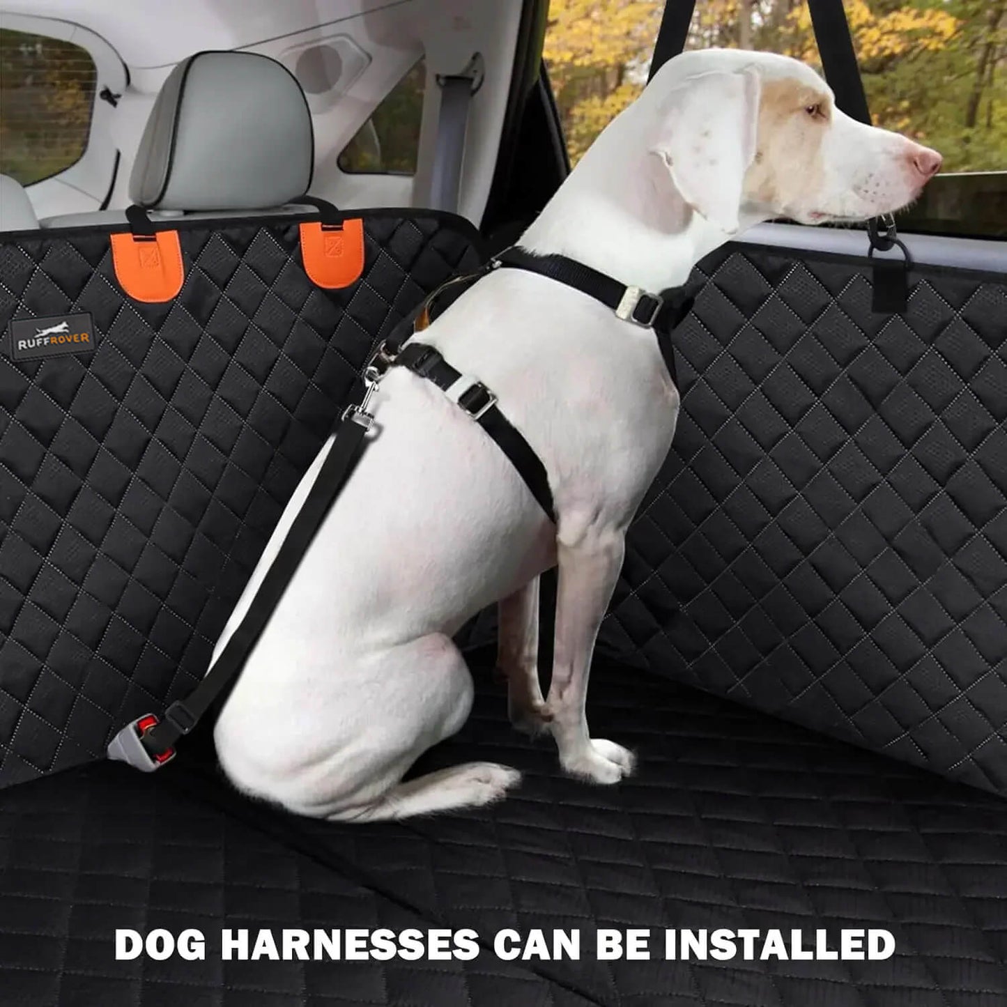 犬用カーシート:最適な安全性と保護