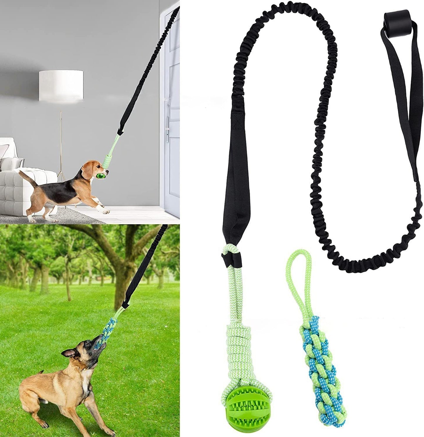 ChaseBall Jouet interactif roulant pour chien