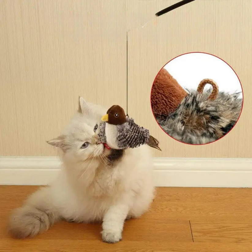 あなたの猫の自然な本能を刺激してください 
