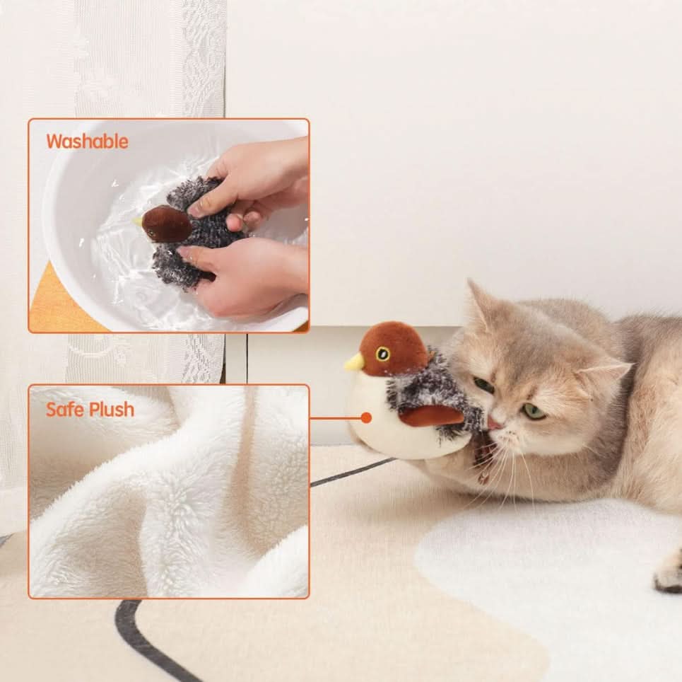 あなたの猫の自然な本能を刺激してください 